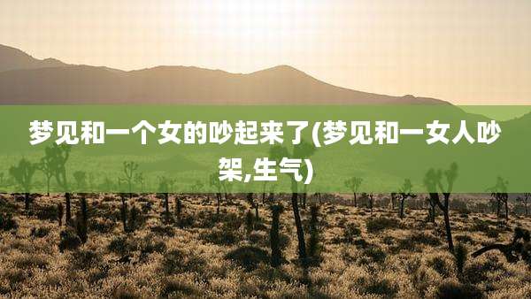 梦见和一个女的吵起来了(梦见和一女人吵架,生气)