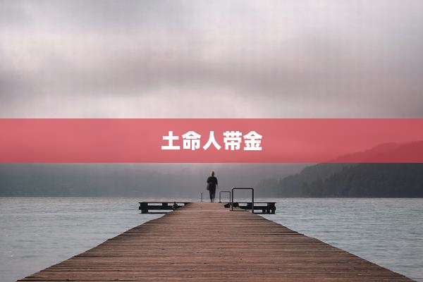土命人带金