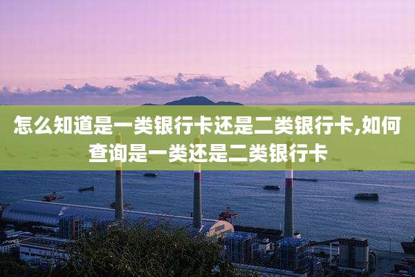 怎么知道是一类银行卡还是二类银行卡,如何查询是一类还是二类银行卡