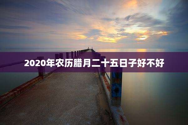 2020年农历腊月二十五日子好不好