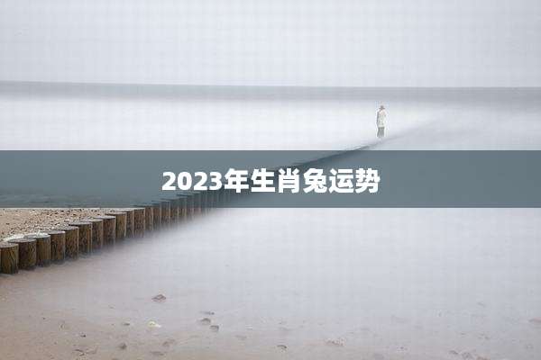 2023年生肖兔运势