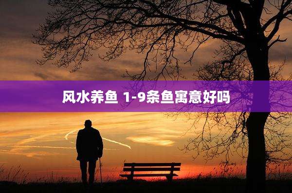 风水养鱼 1-9条鱼寓意好吗