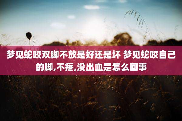 梦见蛇咬双脚不放是好还是坏 梦见蛇咬自己的脚,不疼,没出血是怎么回事