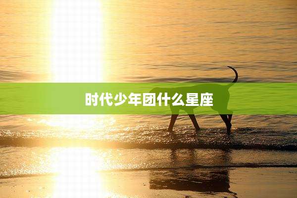 时代少年团什么星座