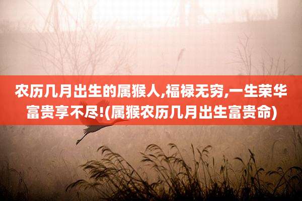 农历几月出生的属猴人,福禄无穷,一生荣华富贵享不尽!(属猴农历几月出生富贵命)