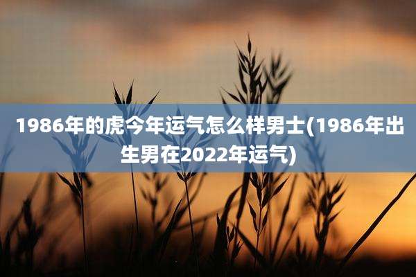 1986年的虎今年运气怎么样男士(1986年出生男在2022年运气)