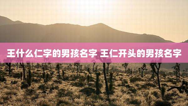 王什么仁字的男孩名字 王仁开头的男孩名字