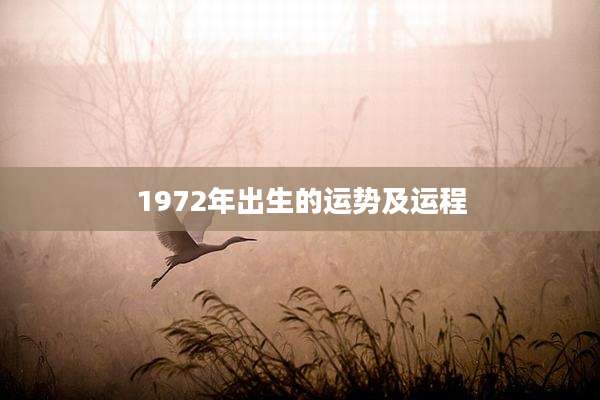 1972年出生的运势及运程