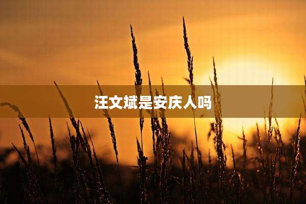 汪文斌是安庆人吗