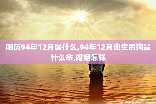 阳历94年12月属什么,94年12月出生的狗是什么命,婚姻怎样