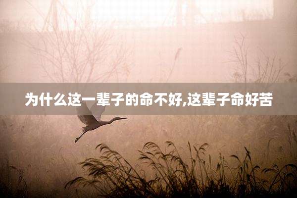 为什么这一辈子的命不好,这辈子命好苦