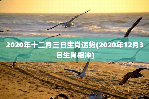 2020年十二月三日生肖运势(2020年12月3日生肖相冲)