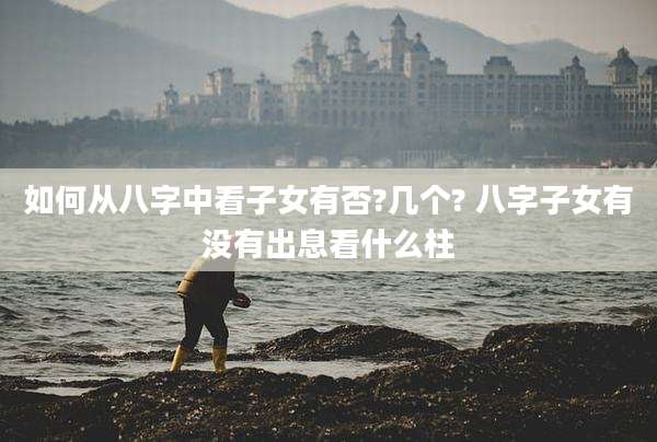 如何从八字中看子女有否?几个? 八字子女有没有出息看什么柱