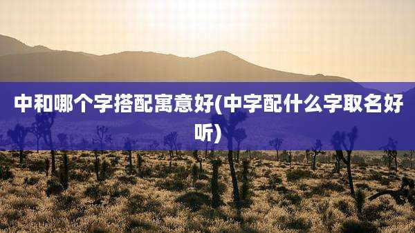 中和哪个字搭配寓意好(中字配什么字取名好听)