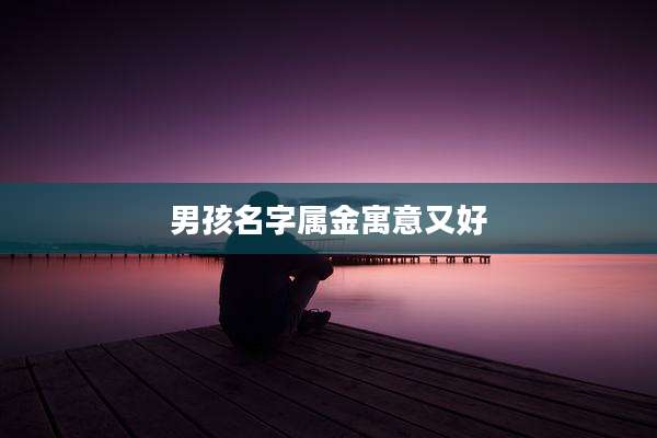 男孩名字属金寓意又好