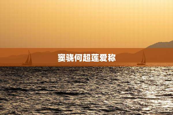 窦骁何超莲爱称