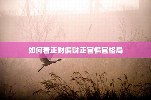 如何看正财偏财正官偏官格局
