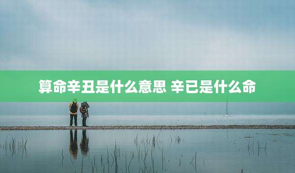 算命辛丑是什么意思 辛已是什么命