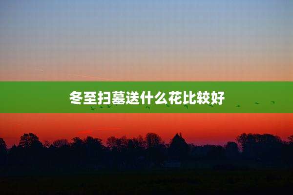 冬至扫墓送什么花比较好