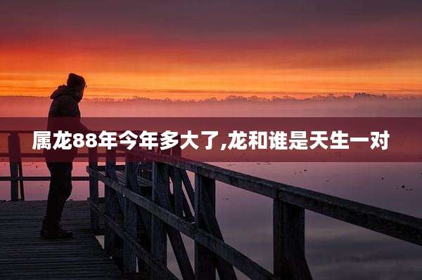 属龙88年今年多大了,龙和谁是天生一对