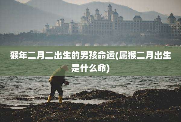 猴年二月二出生的男孩命运(属猴二月出生是什么命)
