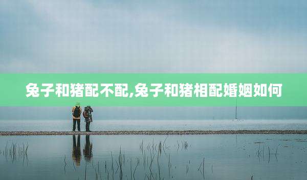 兔子和猪配不配,兔子和猪相配婚姻如何