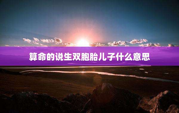 算命的说生双胞胎儿子什么意思