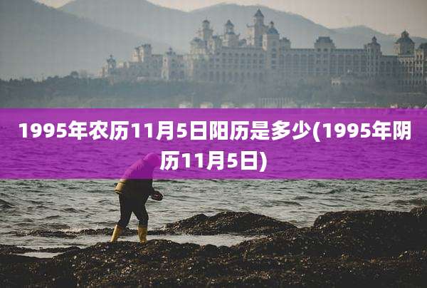 1995年农历11月5日阳历是多少(1995年阴历11月5日)