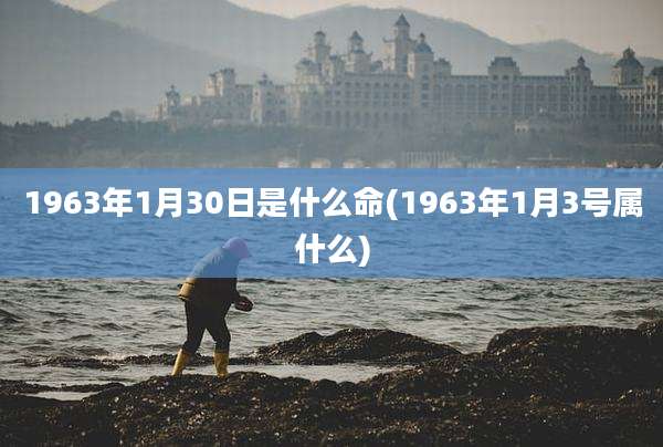 1963年1月30日是什么命(1963年1月3号属什么)