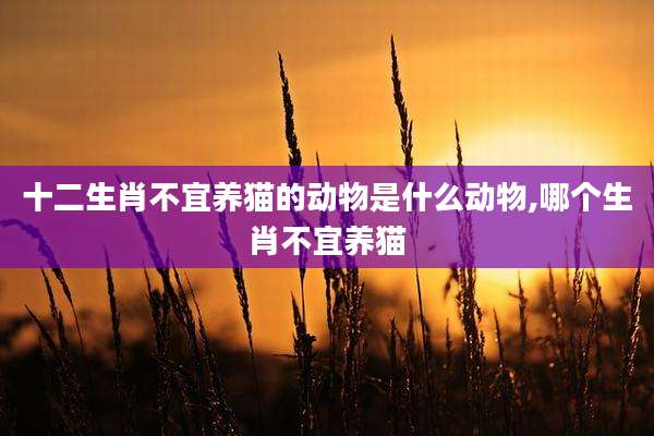 十二生肖不宜养猫的动物是什么动物,哪个生肖不宜养猫
