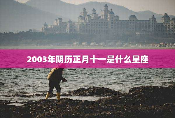 2003年阴历正月十一是什么星座