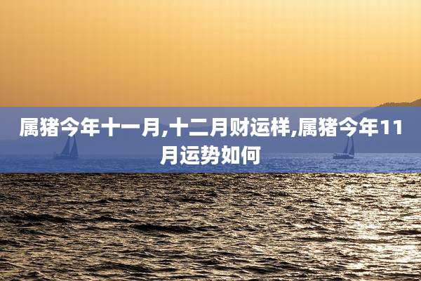 属猪今年十一月,十二月财运样,属猪今年11月运势如何