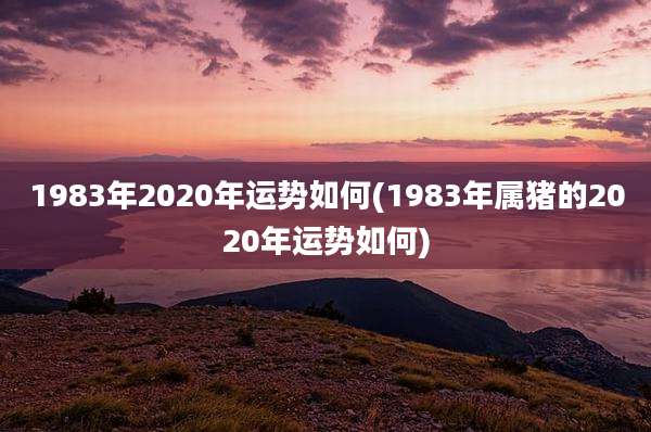 1983年2020年运势如何(1983年属猪的2020年运势如何)