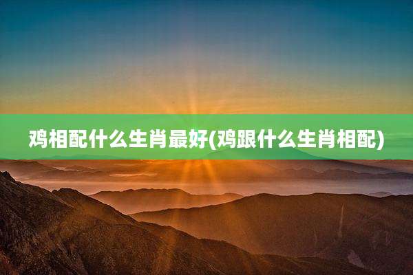 鸡相配什么生肖最好(鸡跟什么生肖相配)