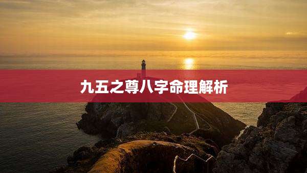 九五之尊八字命理解析