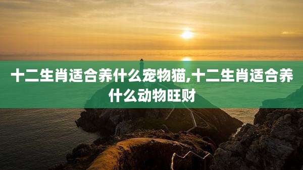 十二生肖适合养什么宠物猫,十二生肖适合养什么动物旺财