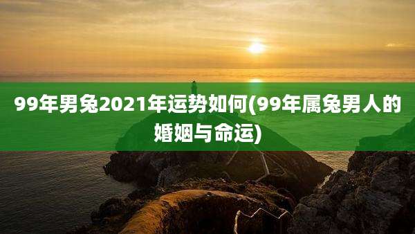 99年男兔2021年运势如何(99年属兔男人的婚姻与命运)