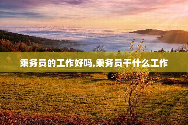 乘务员的工作好吗,乘务员干什么工作