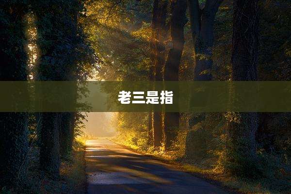 老三是指