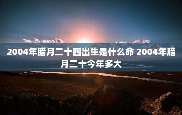 2004年腊月二十四出生是什么命 2004年腊月二十今年多大