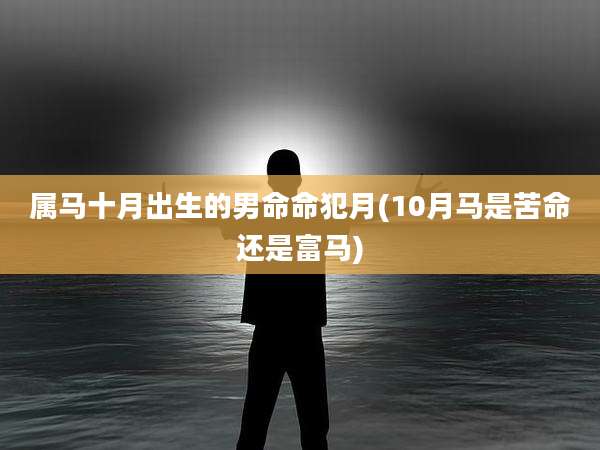 属马十月出生的男命命犯月(10月马是苦命还是富马)
