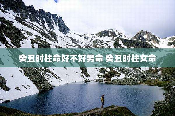 癸丑时柱命好不好男命 癸丑时柱女命