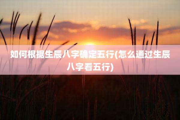 如何根据生辰八字确定五行(怎么通过生辰八字看五行)