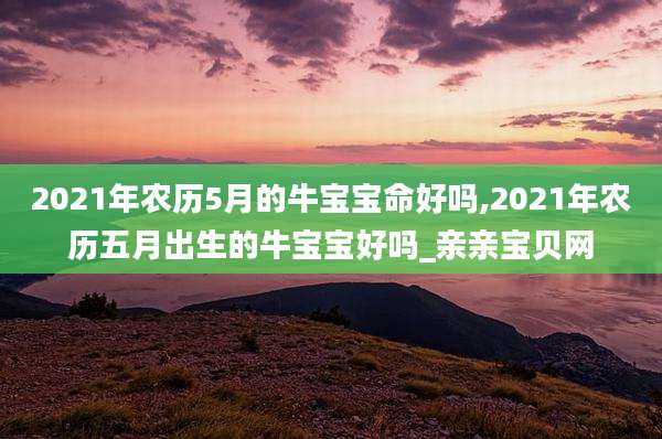 2021年农历5月的牛宝宝命好吗,2021年农历五月出生的牛宝宝好吗_亲亲宝贝网