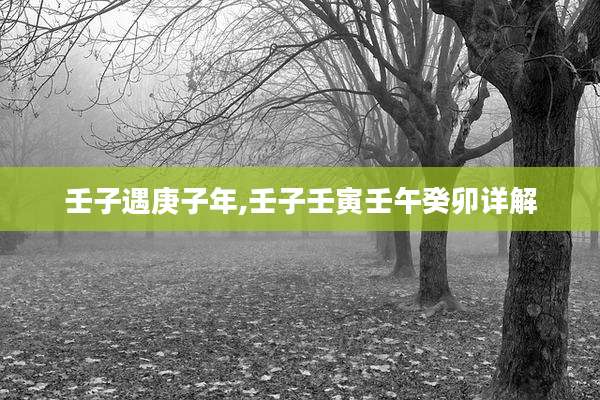 壬子遇庚子年,壬子壬寅壬午癸卯详解