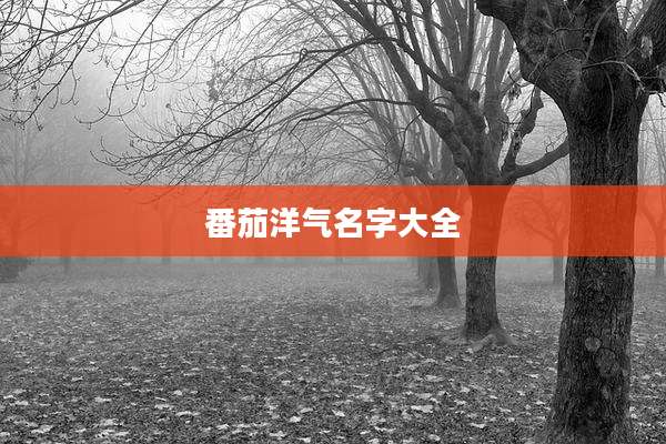 番茄洋气名字大全