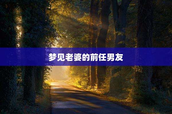 梦见老婆的前任男友