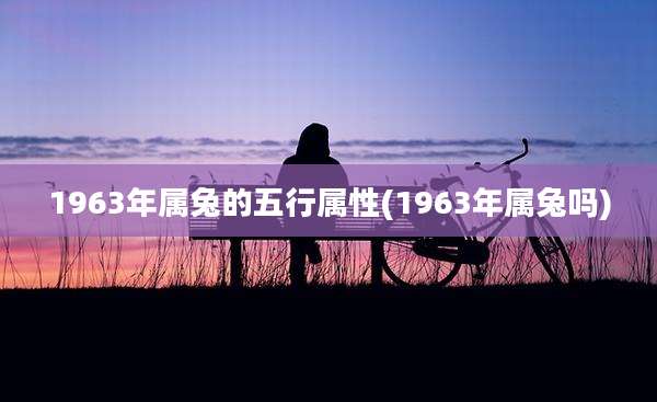 1963年属兔的五行属性(1963年属兔吗)