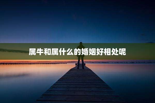 属牛和属什么的婚姻好相处呢