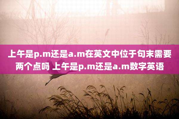 上午是p.m还是a.m在英文中位于句末需要两个点吗 上午是p.m还是a.m数字英语